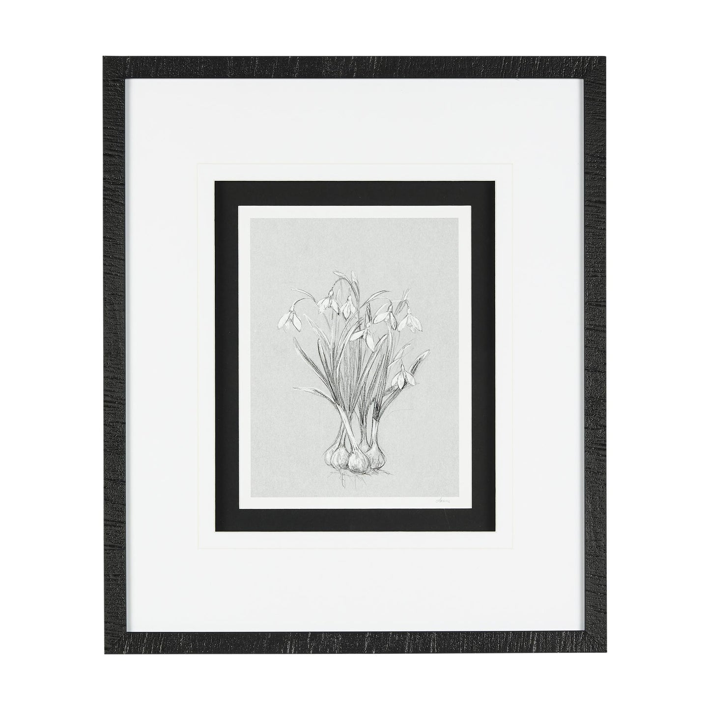 Botanical Sketches VI (Grey)