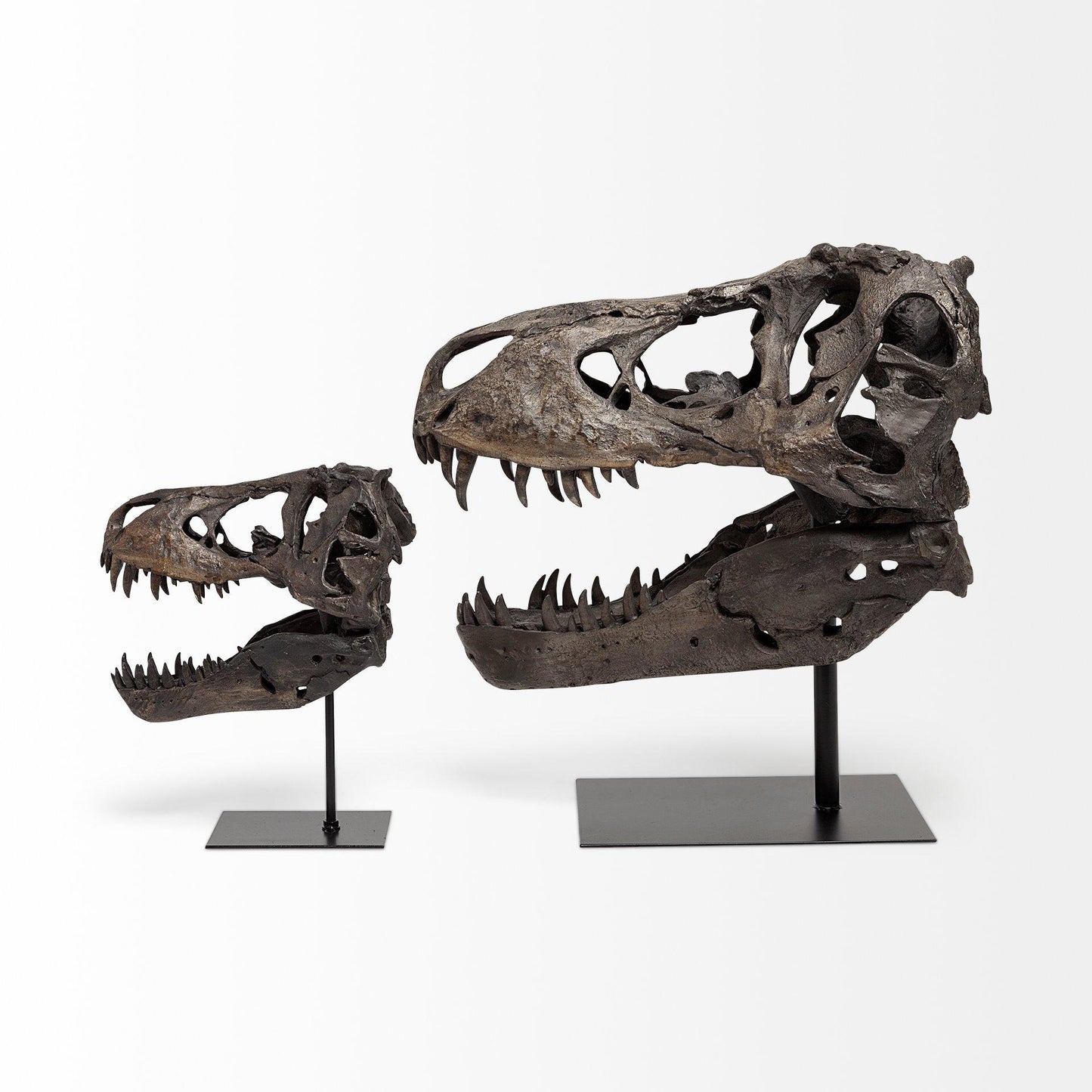 Lagrane 19L x 11W Brown Resin Tyrannosaurus T Rex Dinosaur Skull Replica