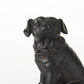 Cadence 4L x 5W Black Resin Pug Dog