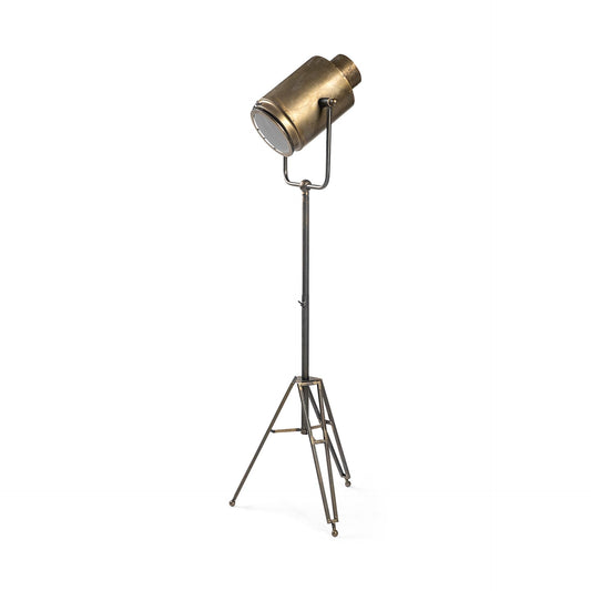 Debdou (61"H) Gold Metal Adjustable Cinema-Style Floor Lamp