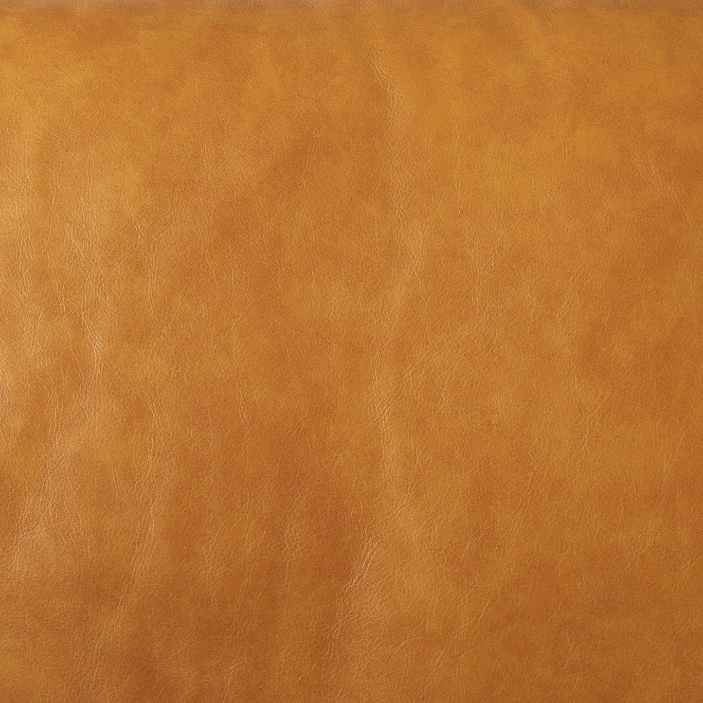 Svend 88.0L x 38.0W x 34.0H Tan Leather Sofa