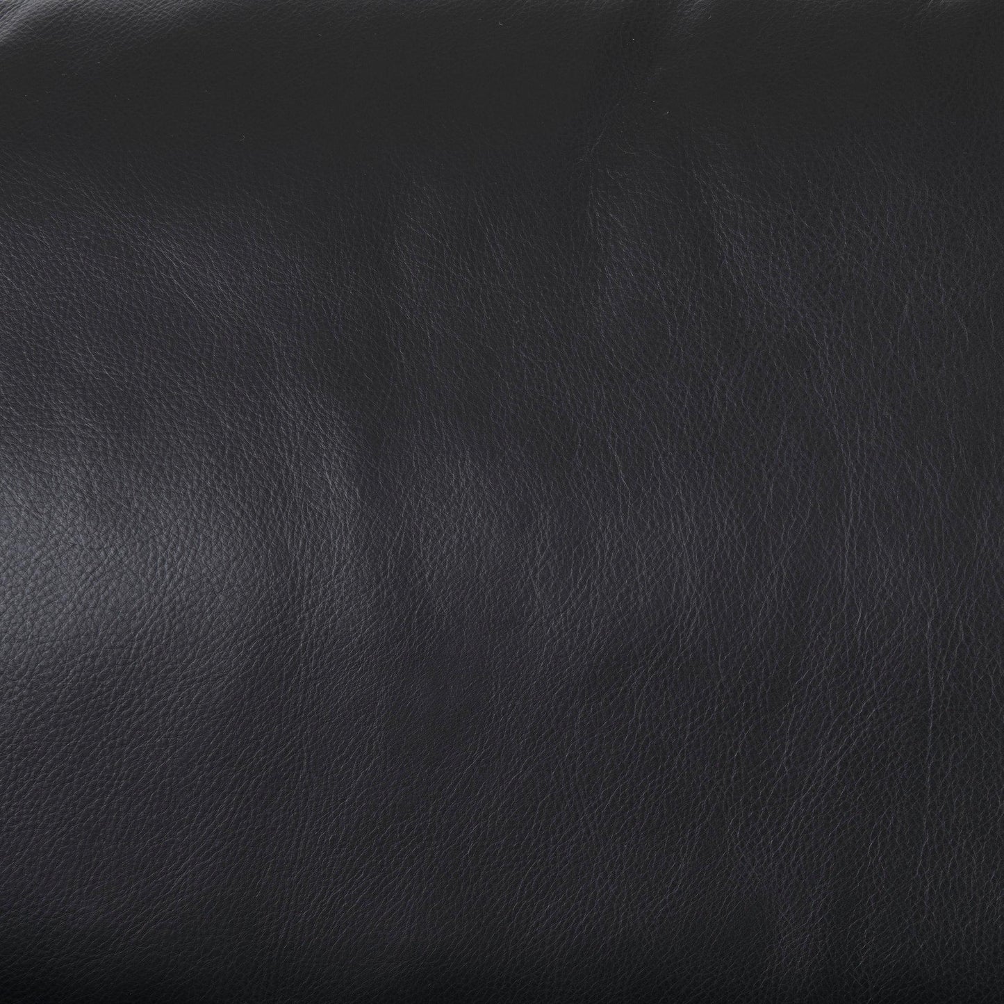 Svend 88.0L x 38.0W x 34.0H Black Leather Sofa