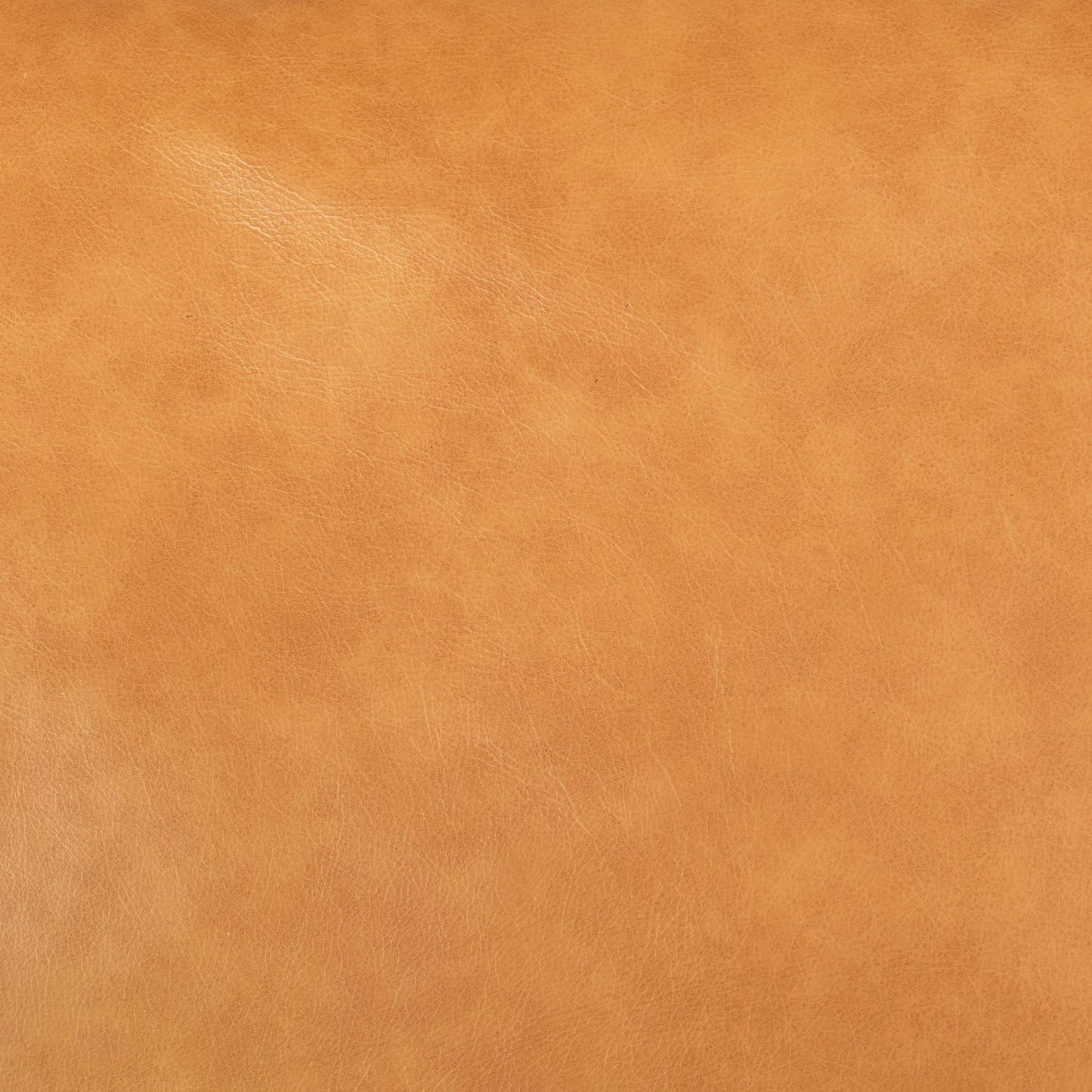 Elton 87.8L x 37.8W x 34.6H Tan Leather Sofa