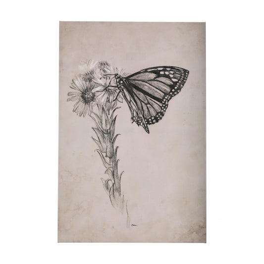 Wild Aster With Monarch Butterfly Drawing III (30 x 45)