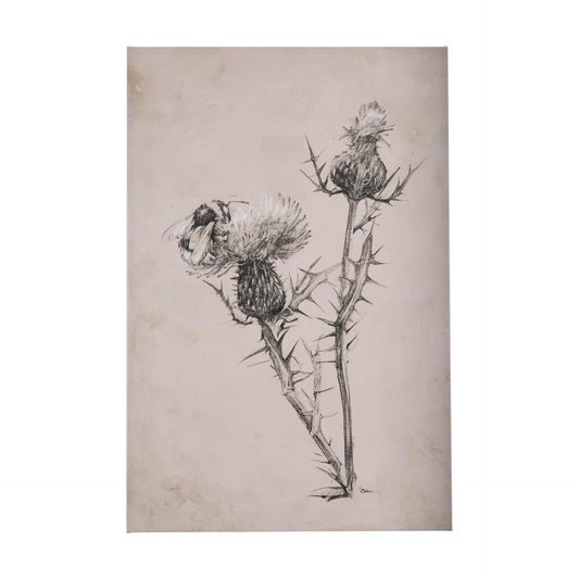 Thistle With Bumblebee Drawing IV (40 x 60)