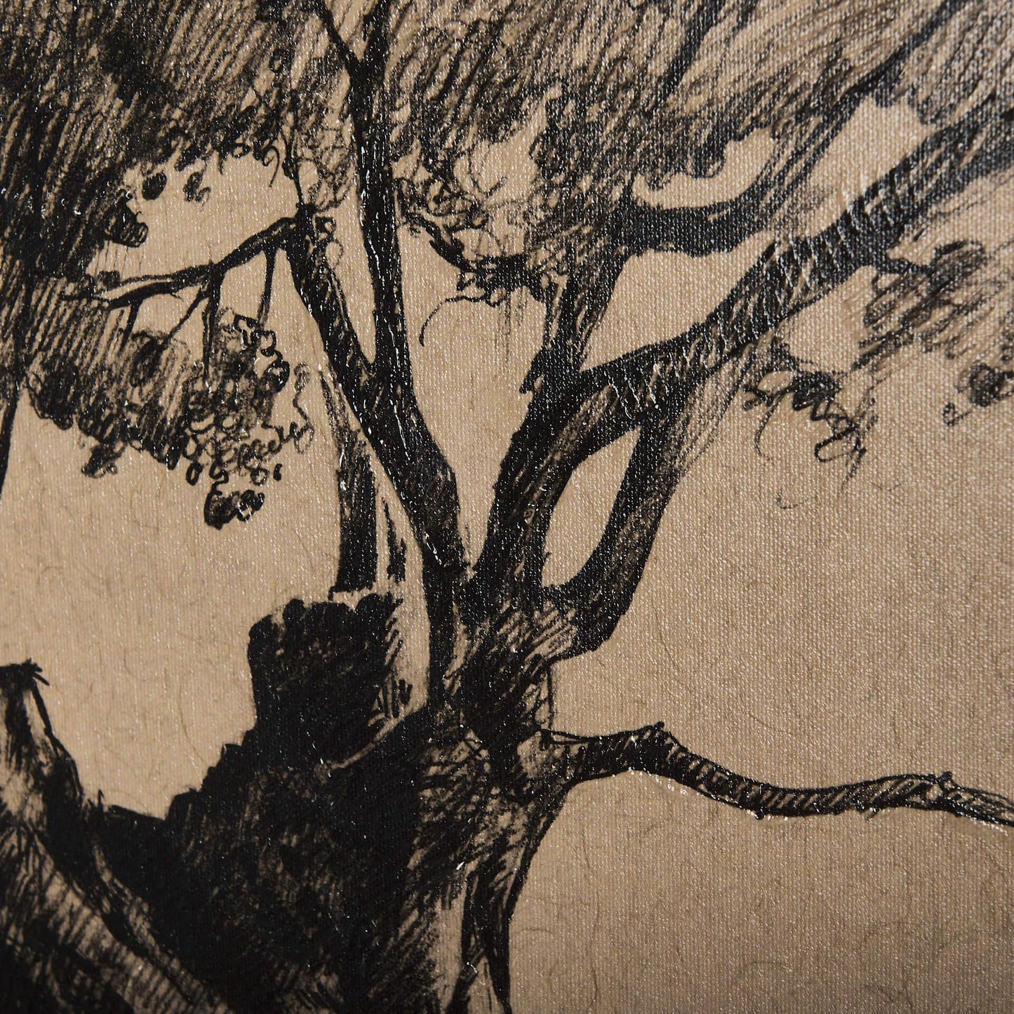 Tree Drawing I (27 x 36)
