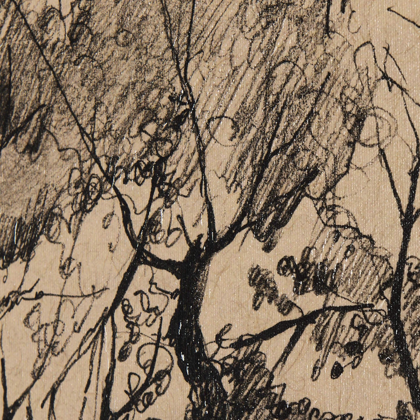 Tree Drawing I (45 x 60)