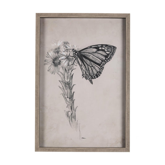 Wild Aster With Monarch Butterfly Drawing III