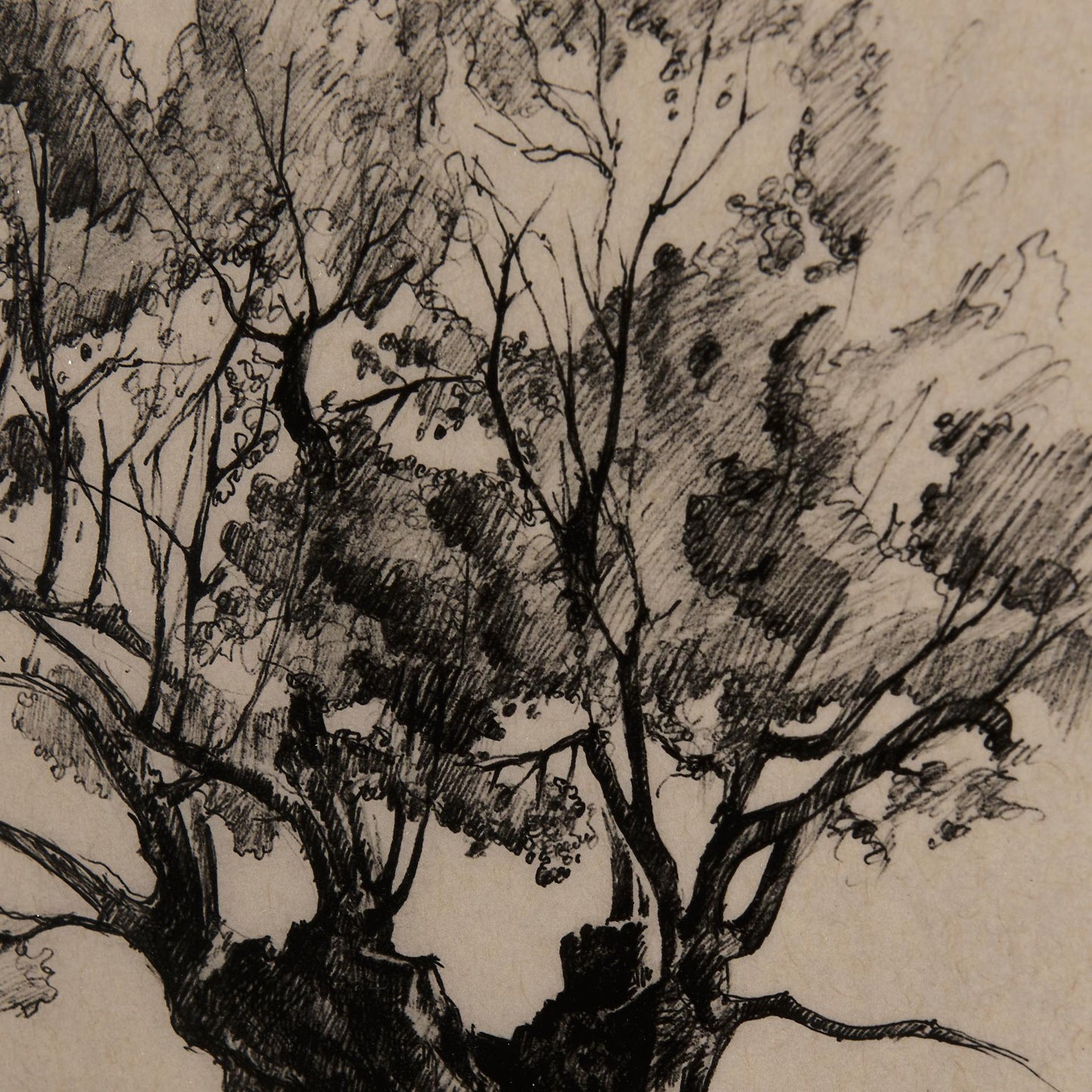 Tree Drawing I