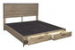 Trellis Storage Queen Panel Bed (Desert Brown)