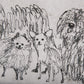 Dog Sketches II