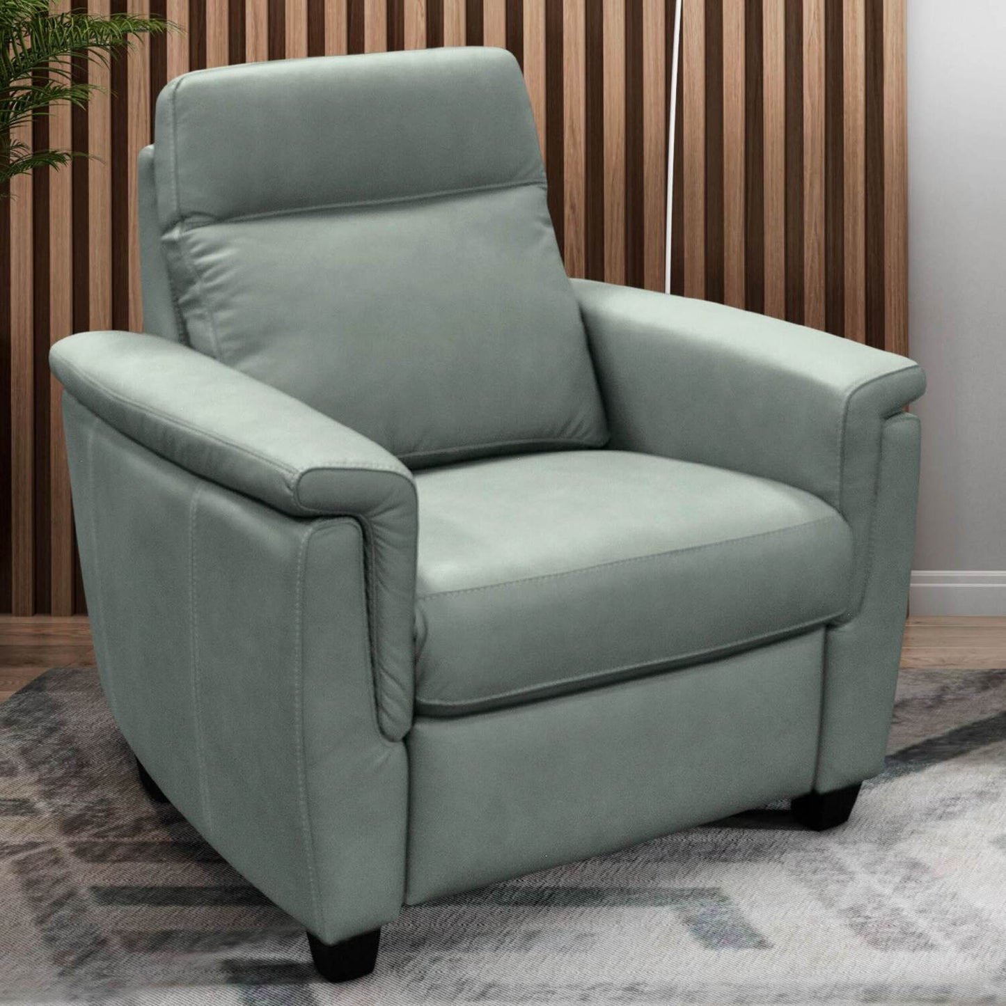 Power Solutions - 509-bc Recliner