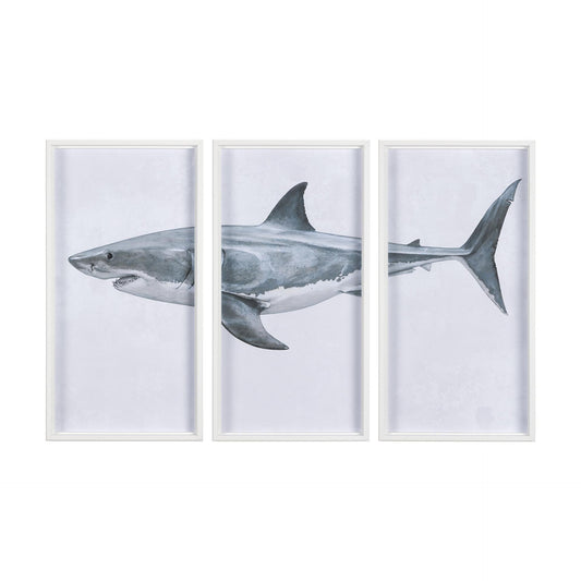 Great White Shark I (Set of 3)
